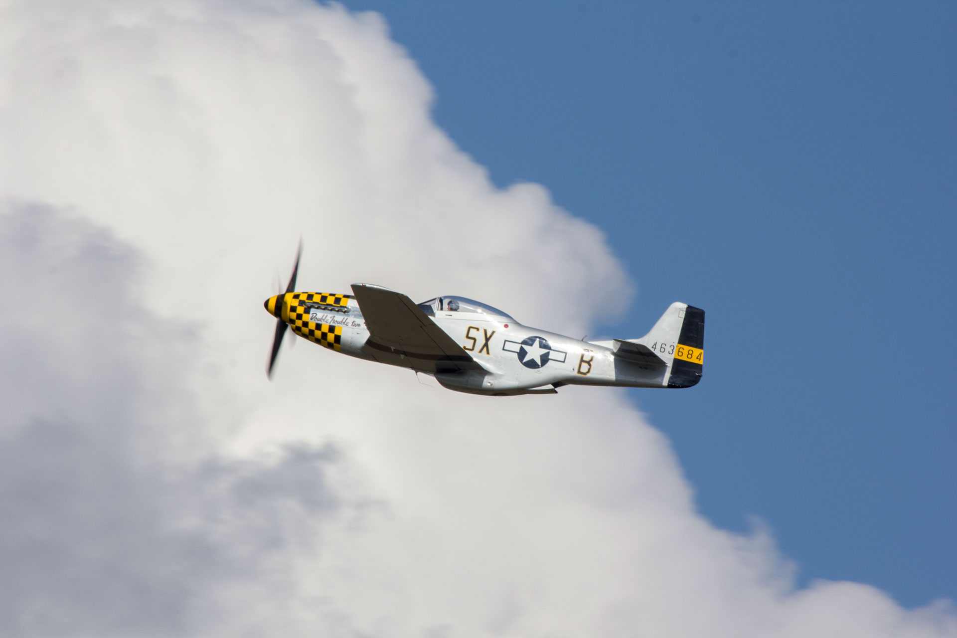 photo-mustang-doubletroubletwo