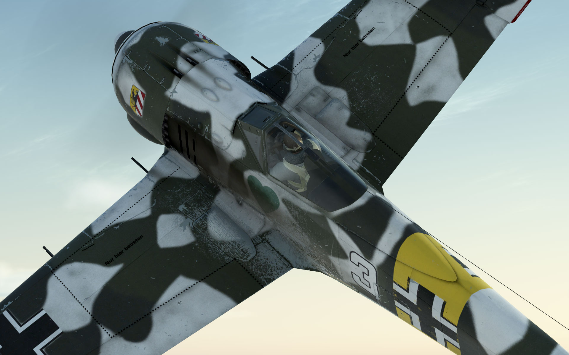 fw190-jg54closeup.jpg
