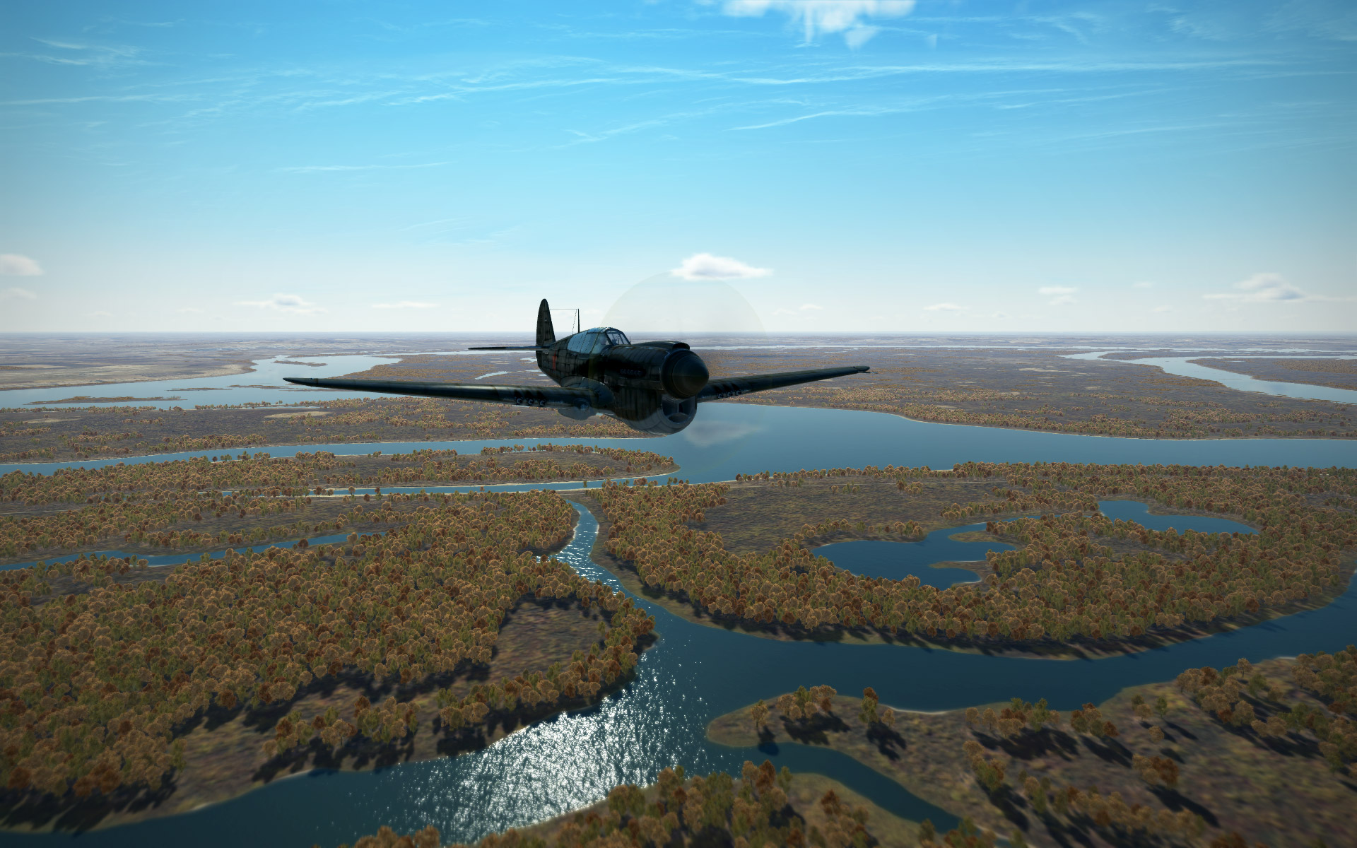 P-40-low-level-autumn.jpg