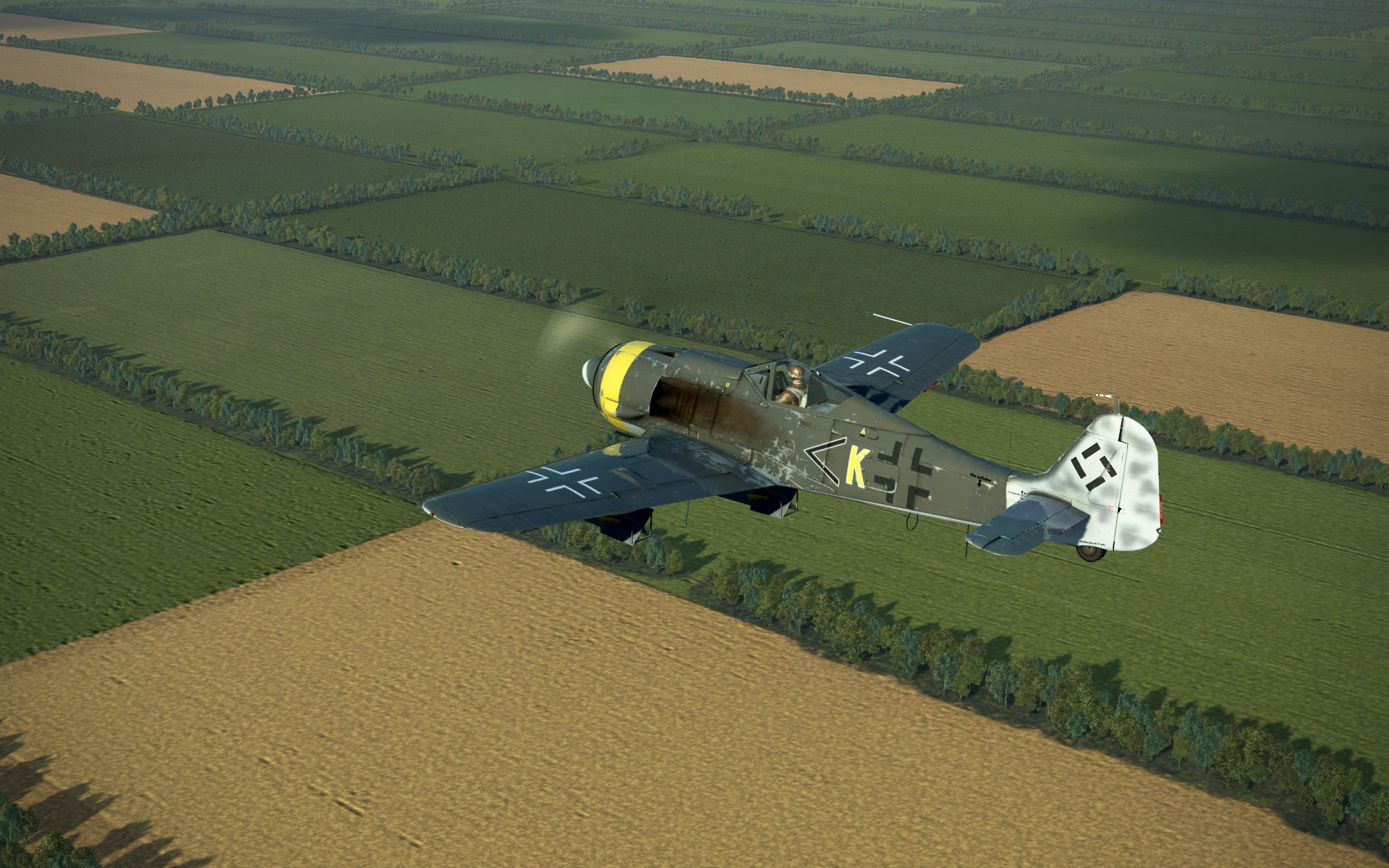 FW190A-8-jabo