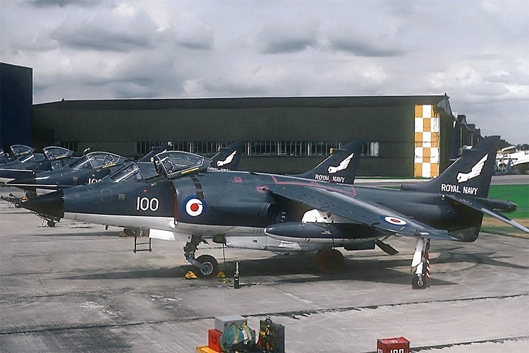 899_Shar_Yeovilton