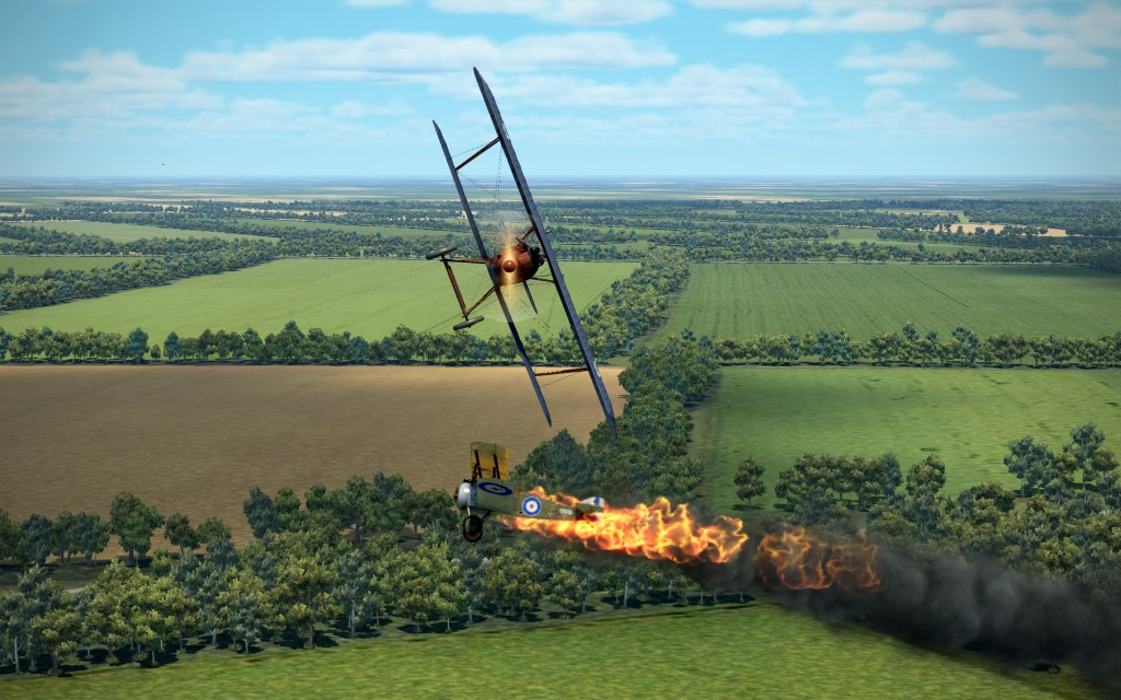 First impressions of the Pfalz D.IIIa in Flying&nbsp;Circus