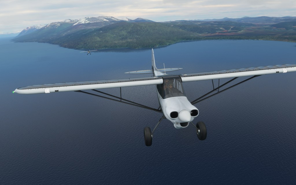 Bush flying on the bottom of the world in Flight&nbsp;Simulator