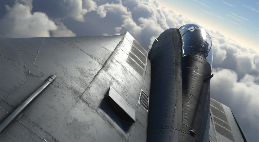 Vibing with the IndiaFoxtEcho/Heatblur F-14 for&nbsp;MSFS