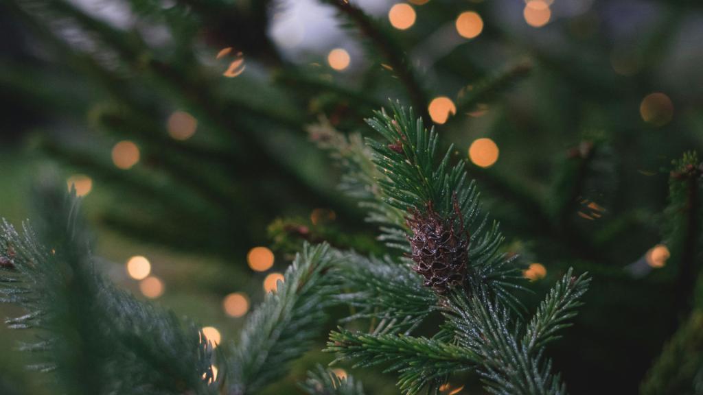 Merry Christmas and a happy&nbsp;holidays