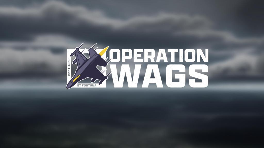 Thousands of dollars donated in Wags cancer fight and Operation Wags details